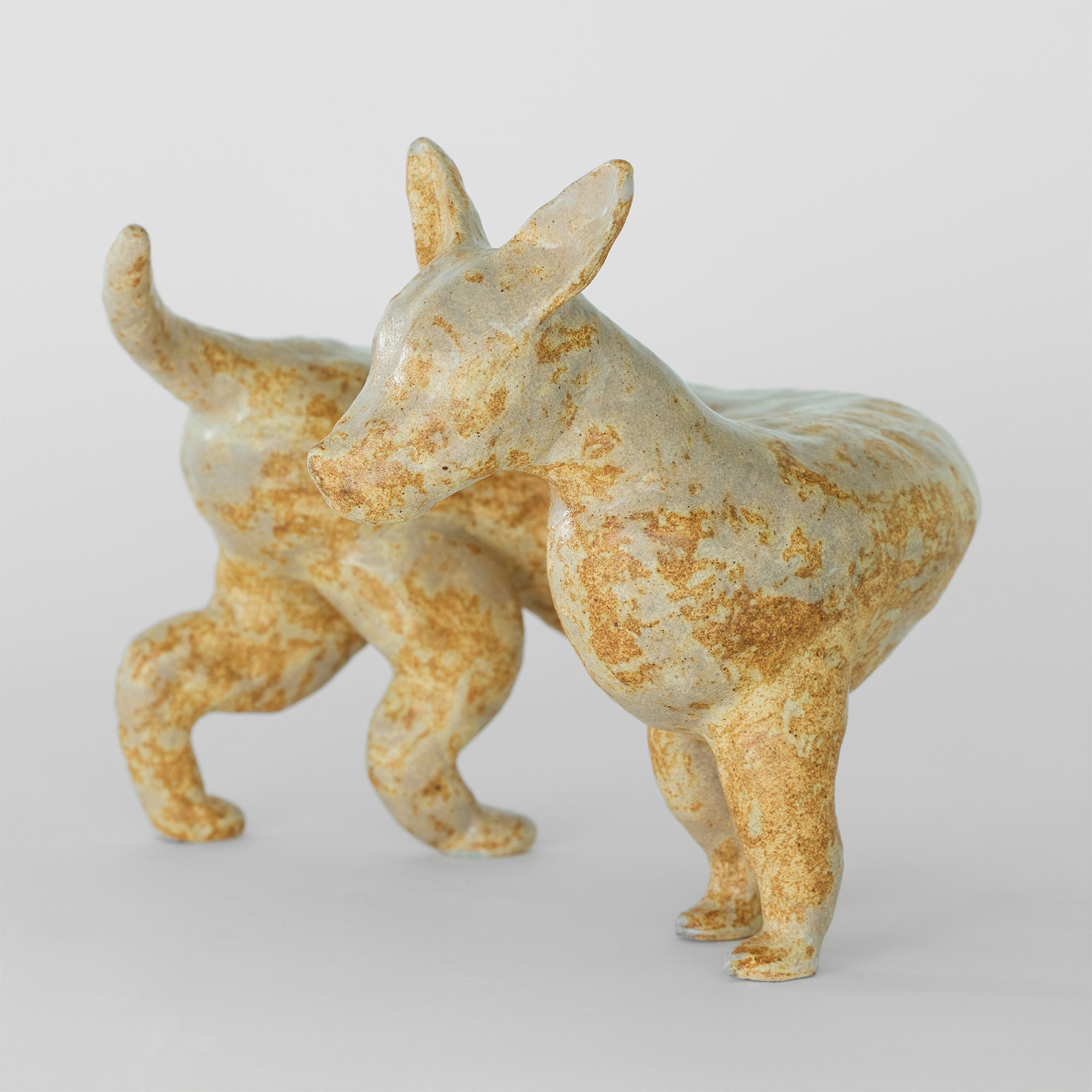 오로디오코스 멍별