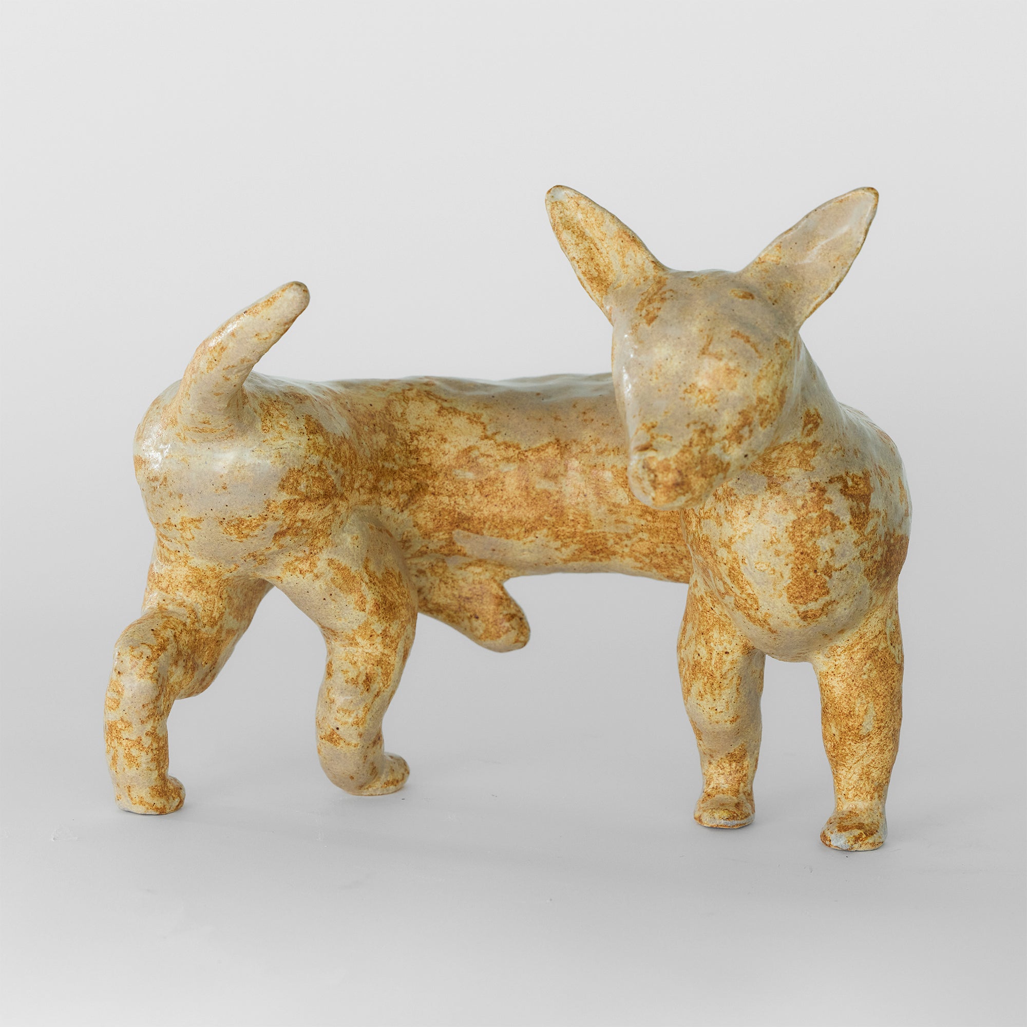 오로디오코스 멍별